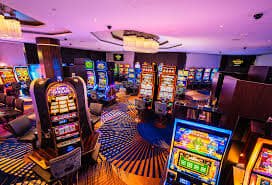 78955 bet