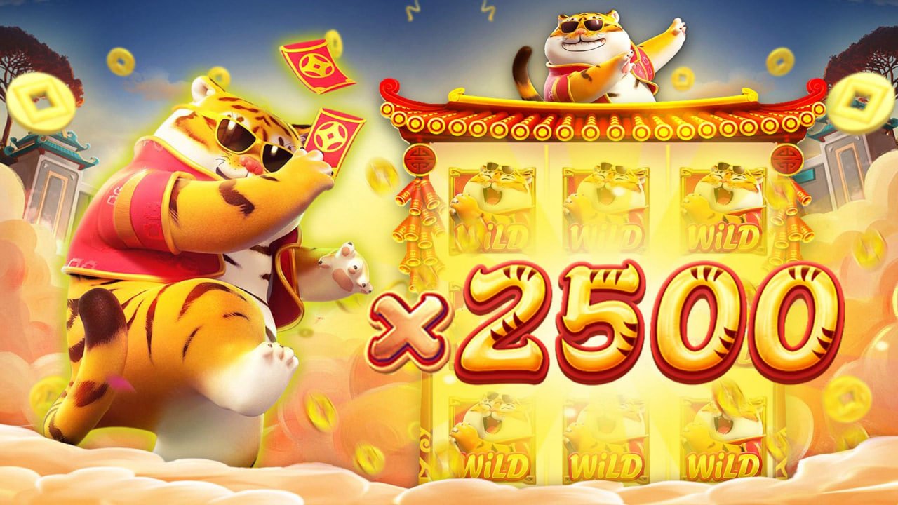78955 bet 78955 bet